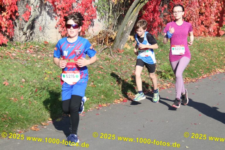 Fotos Hans-Martin Schweitzer (1.000 Fotos) 1931