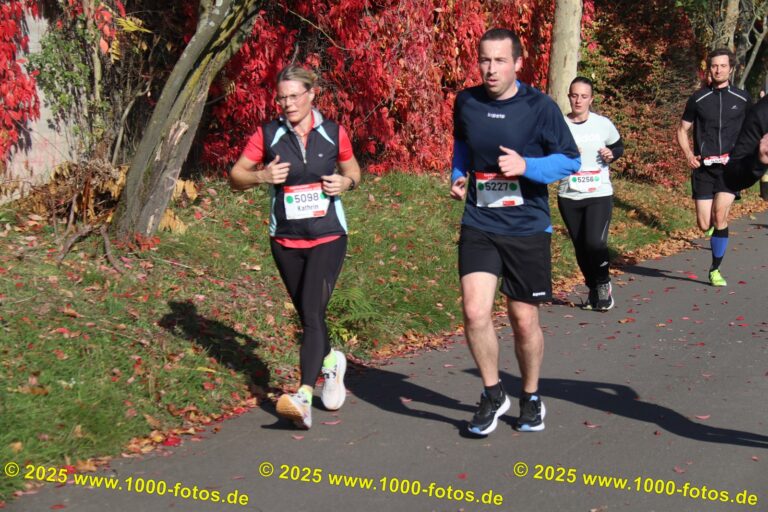 Fotos Hans-Martin Schweitzer (1.000 Fotos) 1929