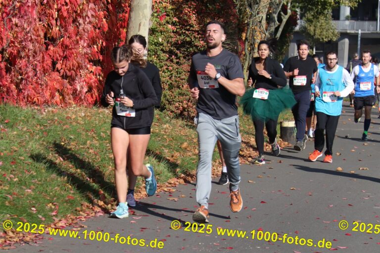 Fotos Hans-Martin Schweitzer (1.000 Fotos) 1924