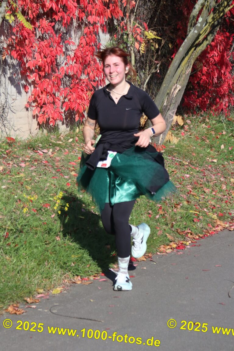 Fotos Hans-Martin Schweitzer (1.000 Fotos) 1918