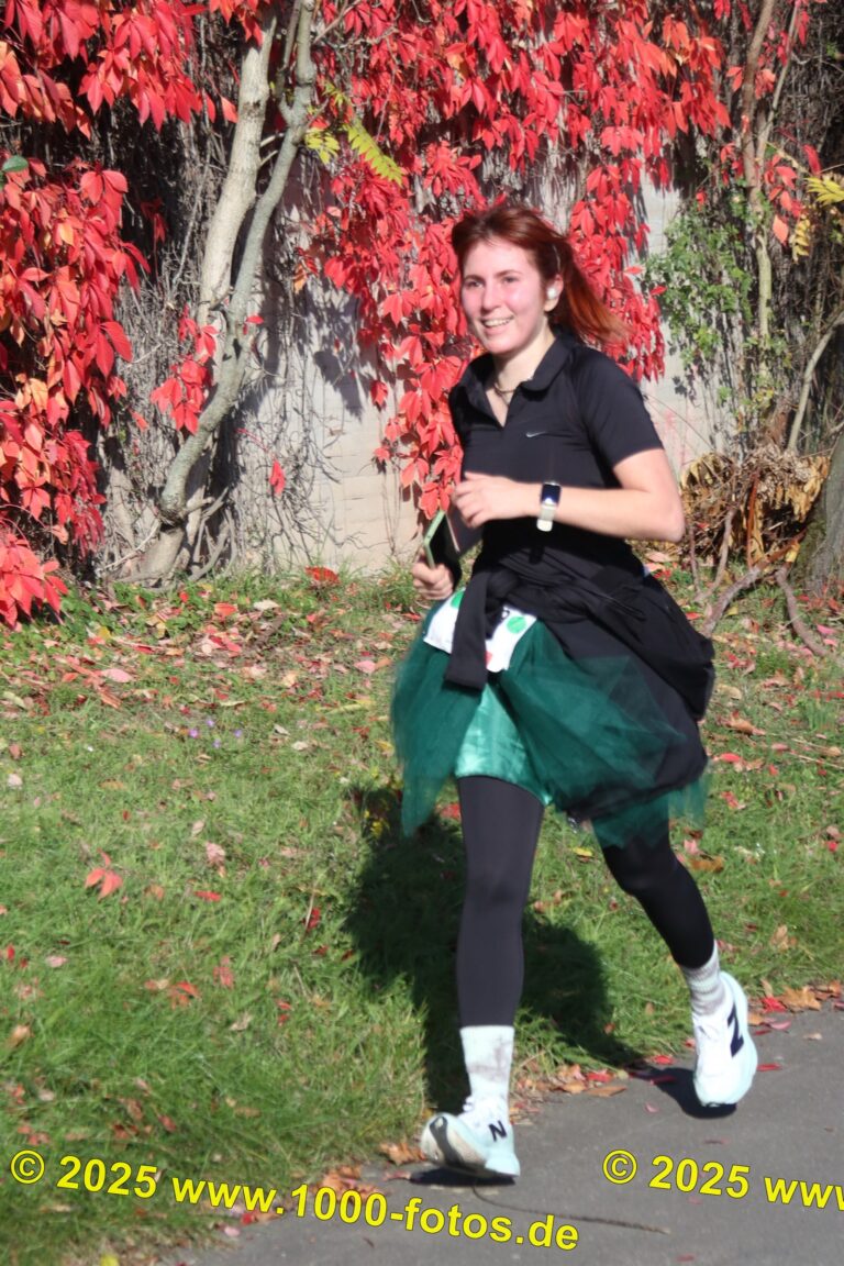 Fotos Hans-Martin Schweitzer (1.000 Fotos) 1917