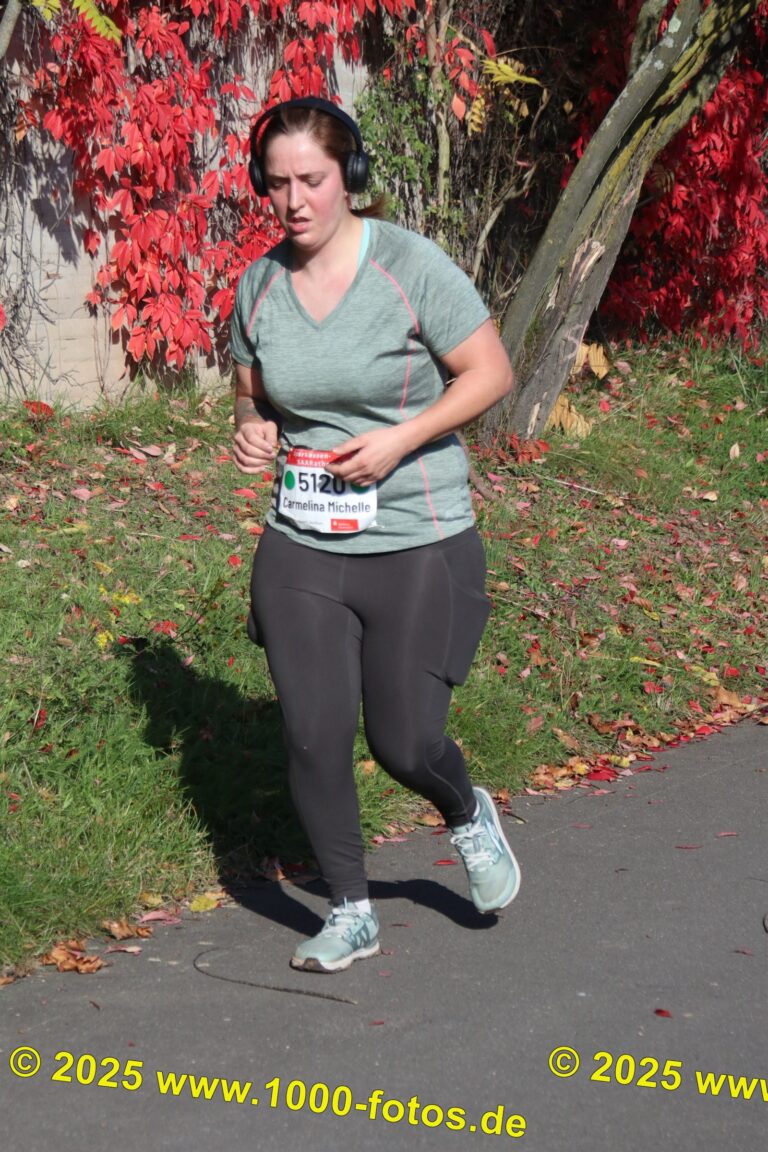 Fotos Hans-Martin Schweitzer (1.000 Fotos) 1916