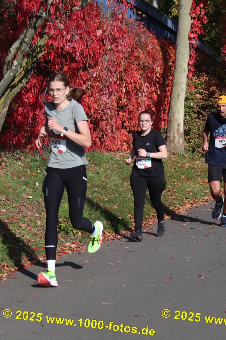 Fotos Hans-Martin Schweitzer (1.000 Fotos) 1915