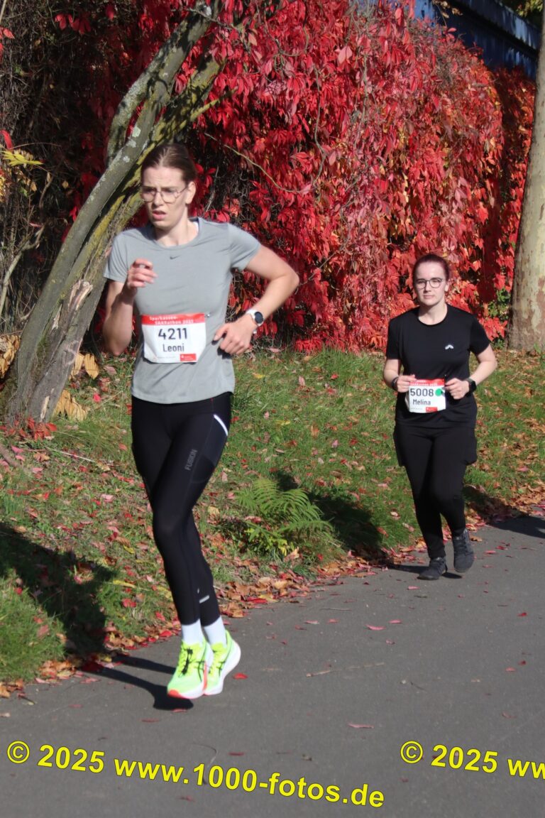 Fotos Hans-Martin Schweitzer (1.000 Fotos) 1914