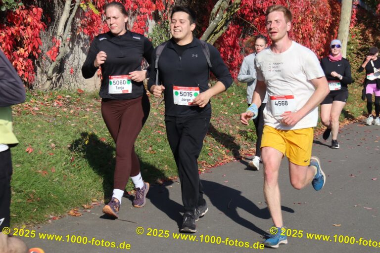 Fotos Hans-Martin Schweitzer (1.000 Fotos) 1907