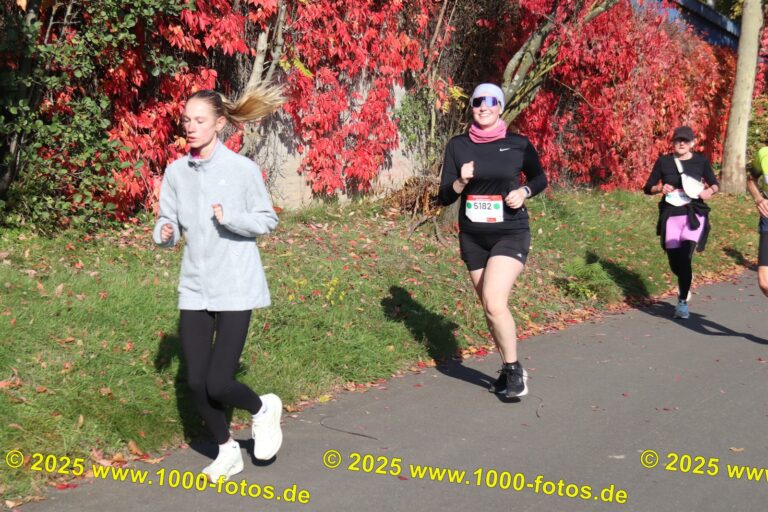 Fotos Hans-Martin Schweitzer (1.000 Fotos) 1906