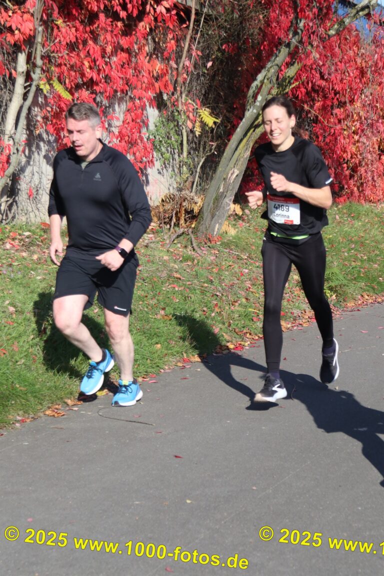 Fotos Hans-Martin Schweitzer (1.000 Fotos) 1901