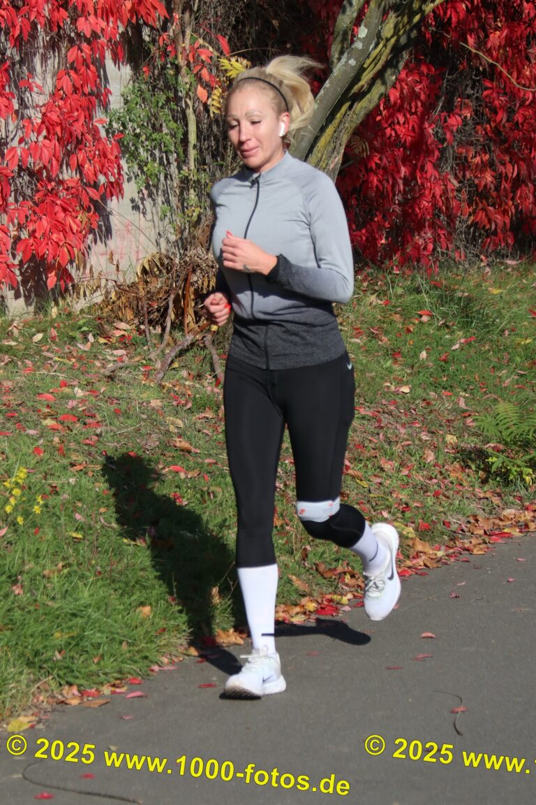 Fotos Hans-Martin Schweitzer (1.000 Fotos) 1897