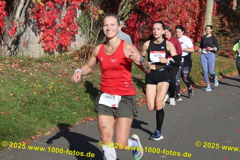 Fotos Hans-Martin Schweitzer (1.000 Fotos) 1895