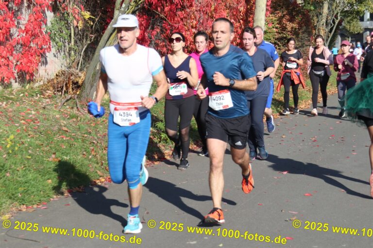 Fotos Hans-Martin Schweitzer (1.000 Fotos) 1893