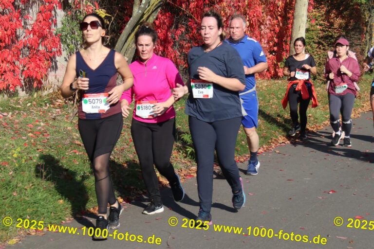 Fotos Hans-Martin Schweitzer (1.000 Fotos) 1891