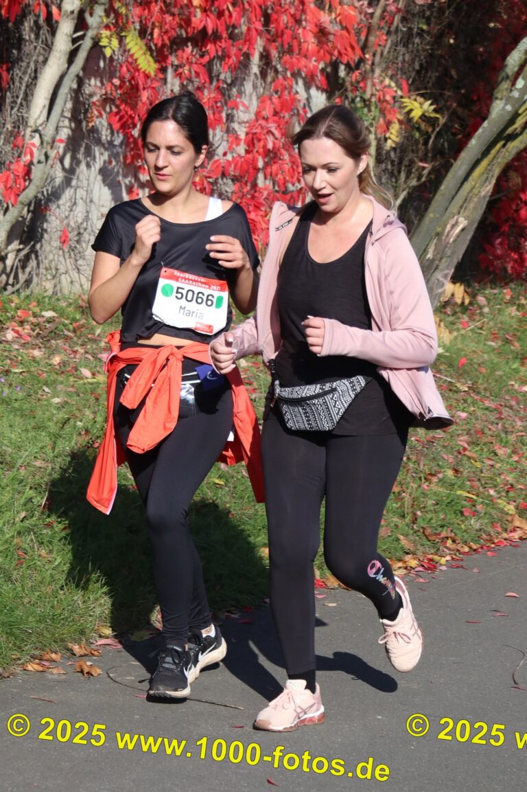 Fotos Hans-Martin Schweitzer (1.000 Fotos) 1889