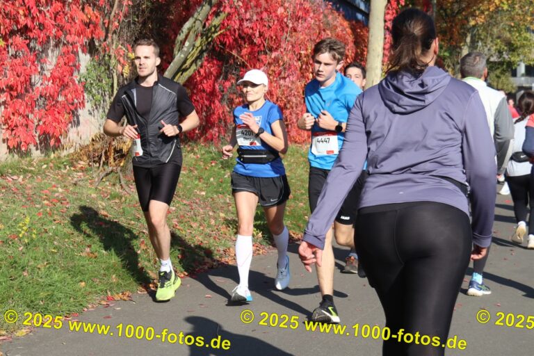 Fotos Hans-Martin Schweitzer (1.000 Fotos) 1888