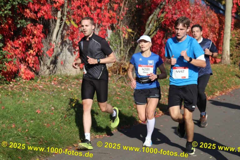 Fotos Hans-Martin Schweitzer (1.000 Fotos) 1887