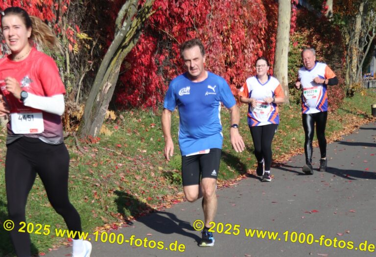 Fotos Hans-Martin Schweitzer (1.000 Fotos) 1886