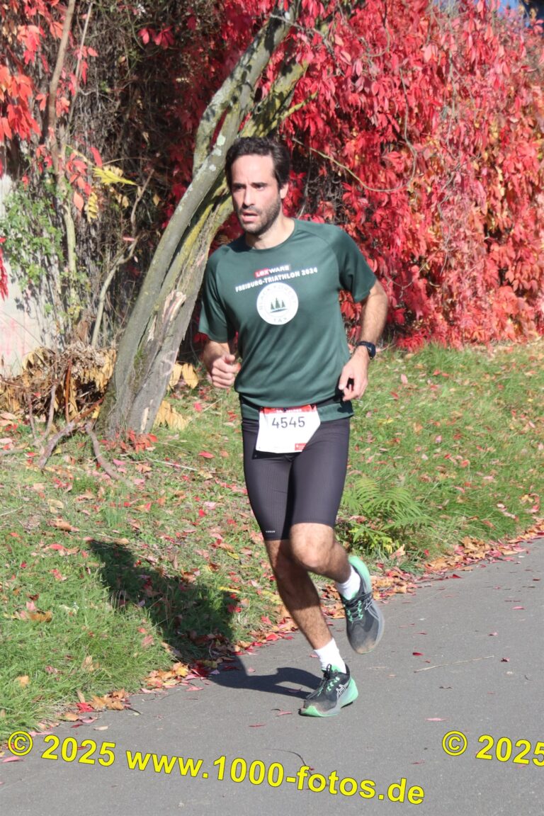 Fotos Hans-Martin Schweitzer (1.000 Fotos) 1883