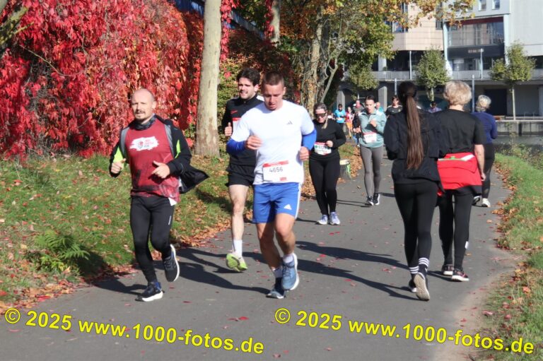 Fotos Hans-Martin Schweitzer (1.000 Fotos) 1881