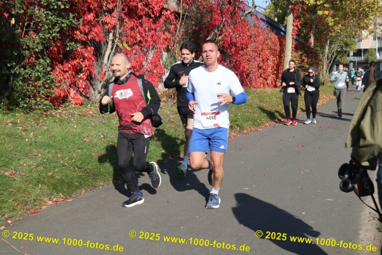 Fotos Hans-Martin Schweitzer (1.000 Fotos) 1880