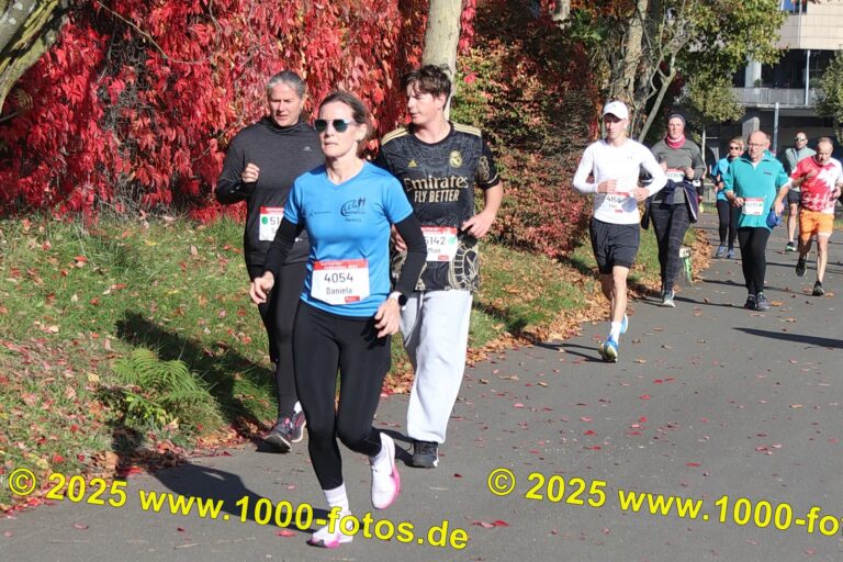 Fotos Hans-Martin Schweitzer (1.000 Fotos) 1877