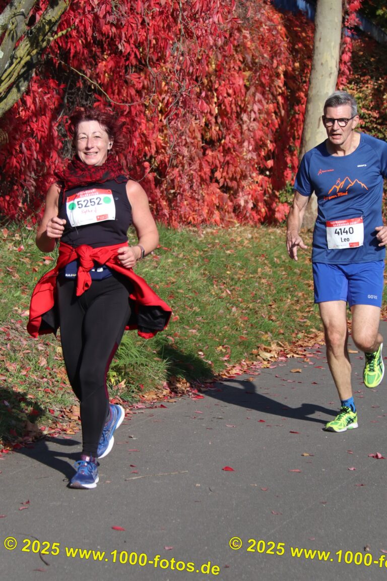 Fotos Hans-Martin Schweitzer (1.000 Fotos) 1868