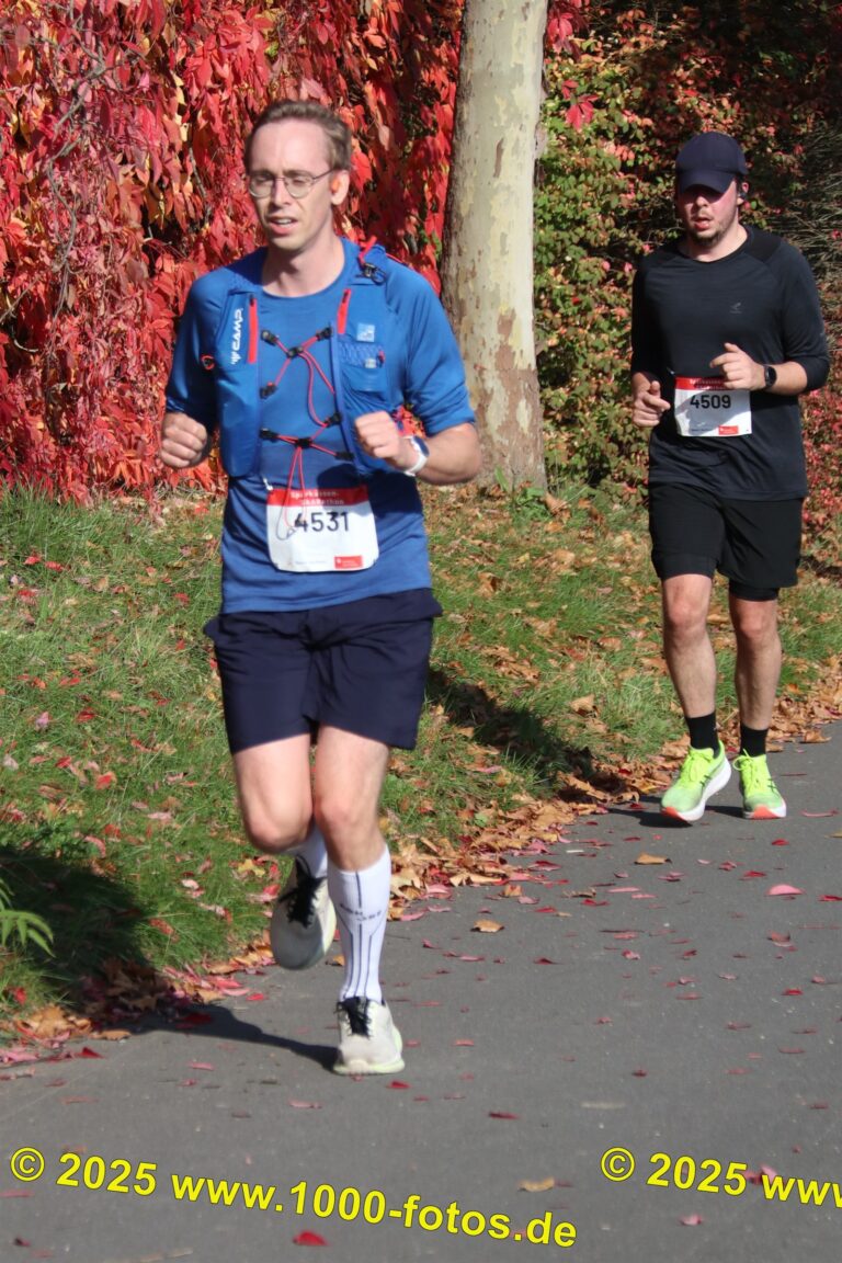 Fotos Hans-Martin Schweitzer (1.000 Fotos) 1865