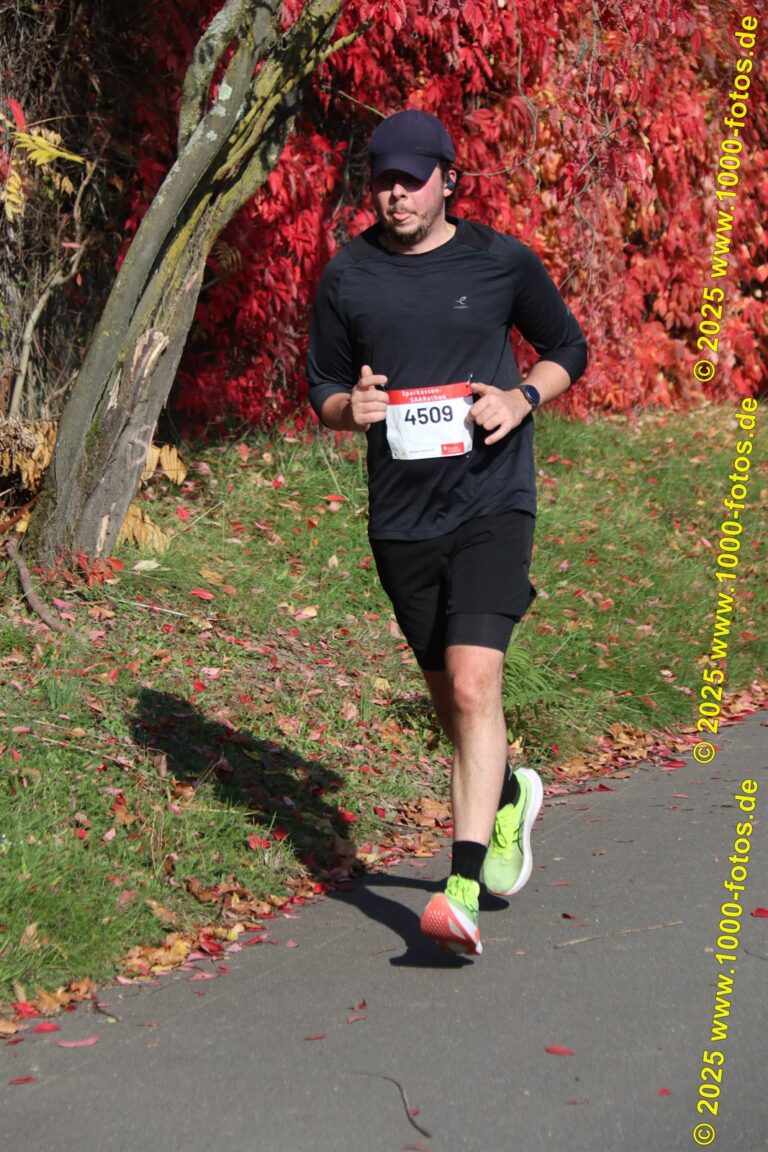 Fotos Hans-Martin Schweitzer (1.000 Fotos) 1864