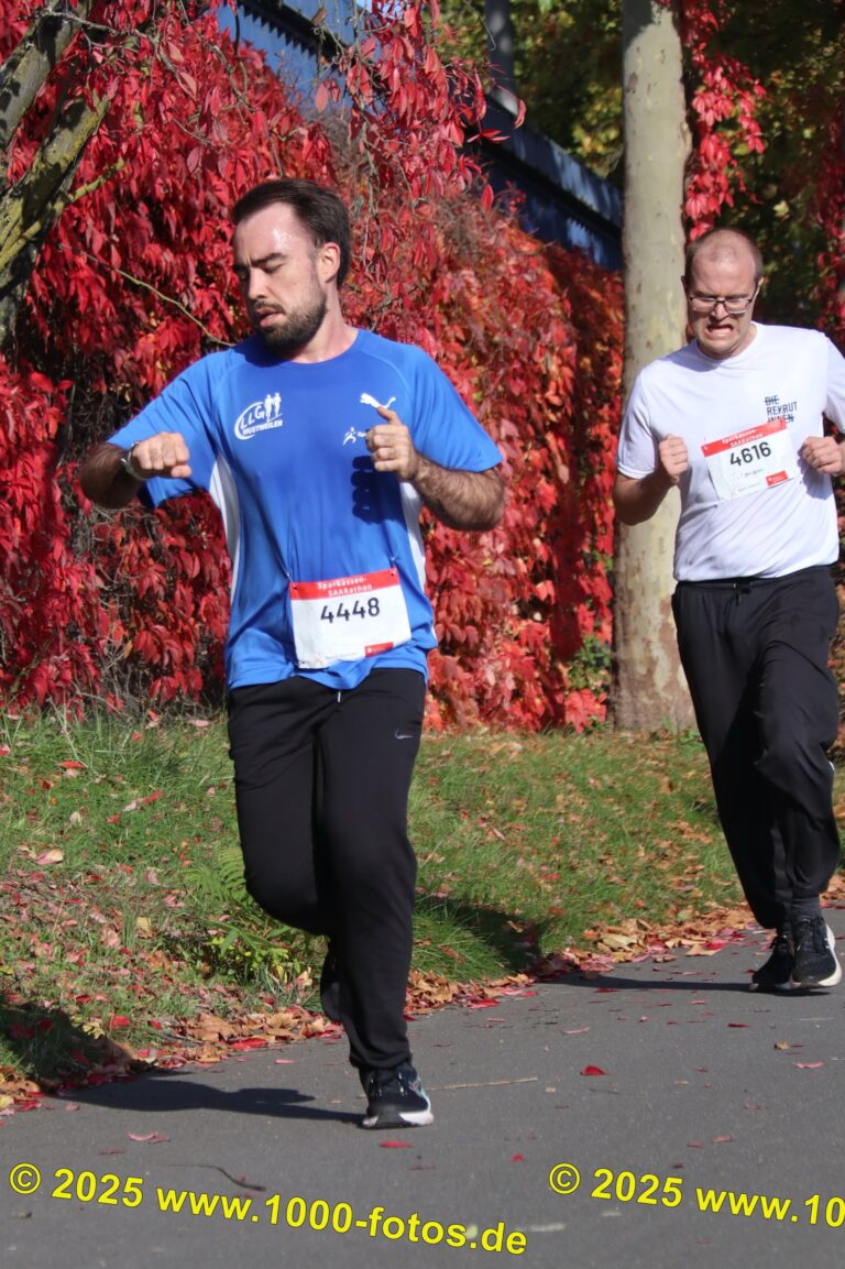 Fotos Hans-Martin Schweitzer (1.000 Fotos) 1851