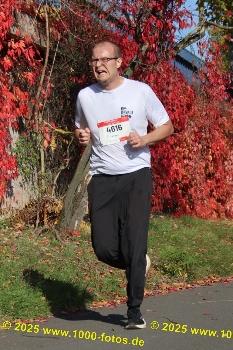 Fotos Hans-Martin Schweitzer (1.000 Fotos) 1850