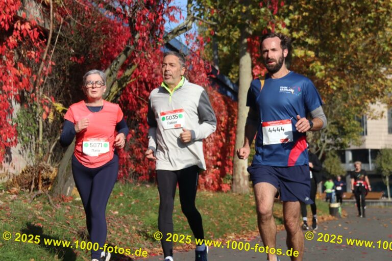 Fotos Hans-Martin Schweitzer (1.000 Fotos) 1849