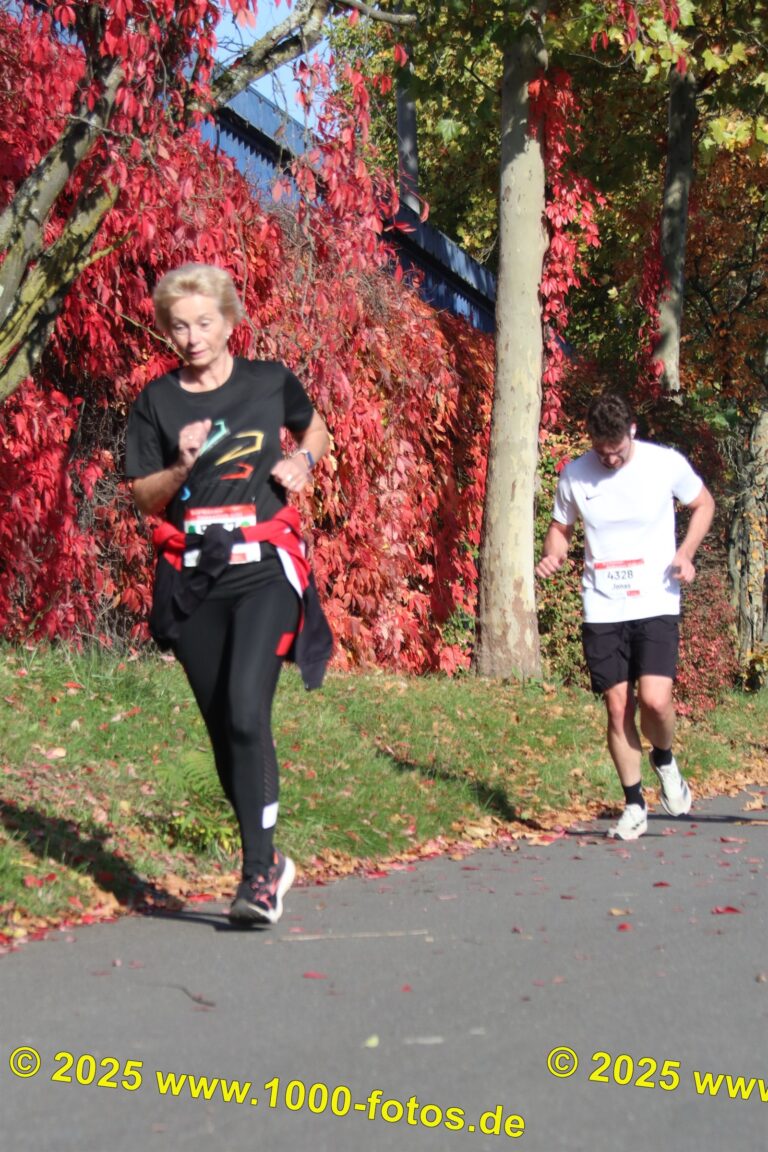 Fotos Hans-Martin Schweitzer (1.000 Fotos) 1847