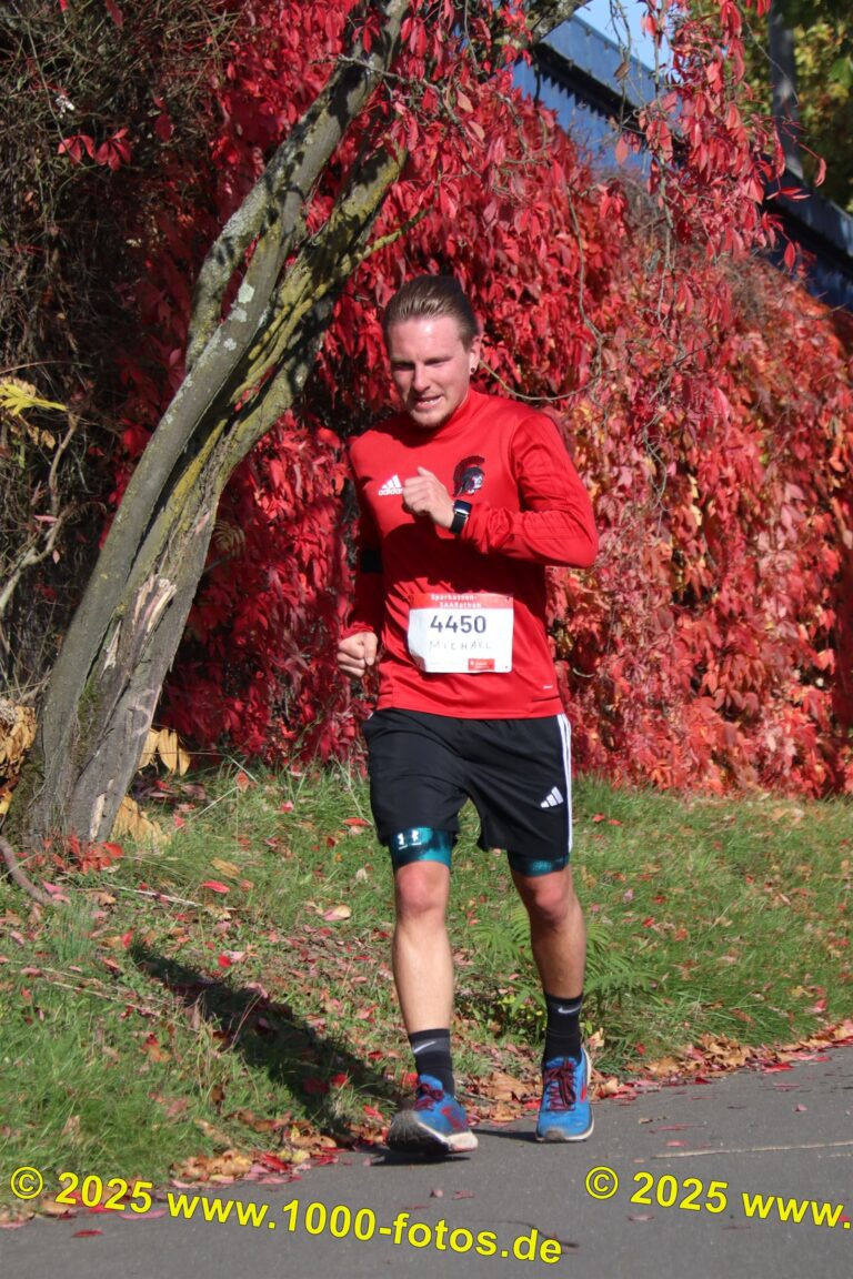 Fotos Hans-Martin Schweitzer (1.000 Fotos) 1839