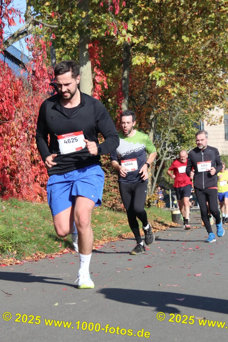 Fotos Hans-Martin Schweitzer (1.000 Fotos) 1838