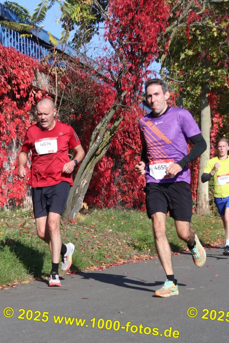 Fotos Hans-Martin Schweitzer (1.000 Fotos) 1837