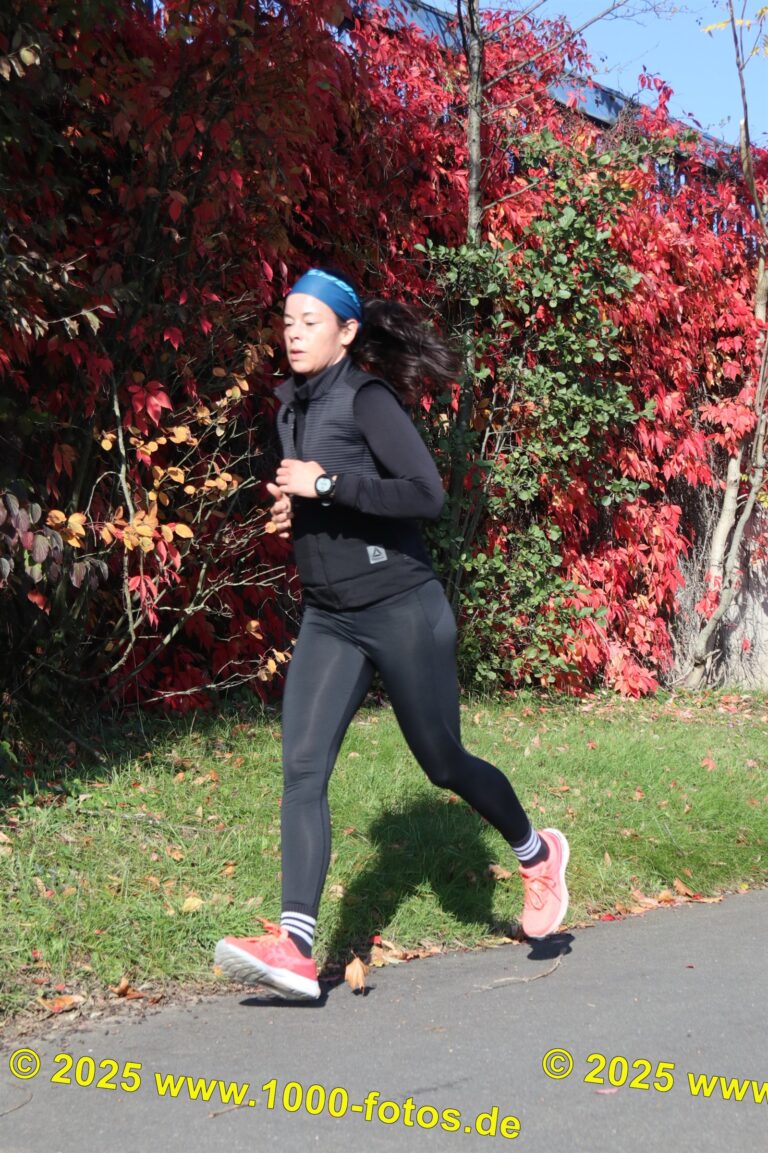 Fotos Hans-Martin Schweitzer (1.000 Fotos) 1821