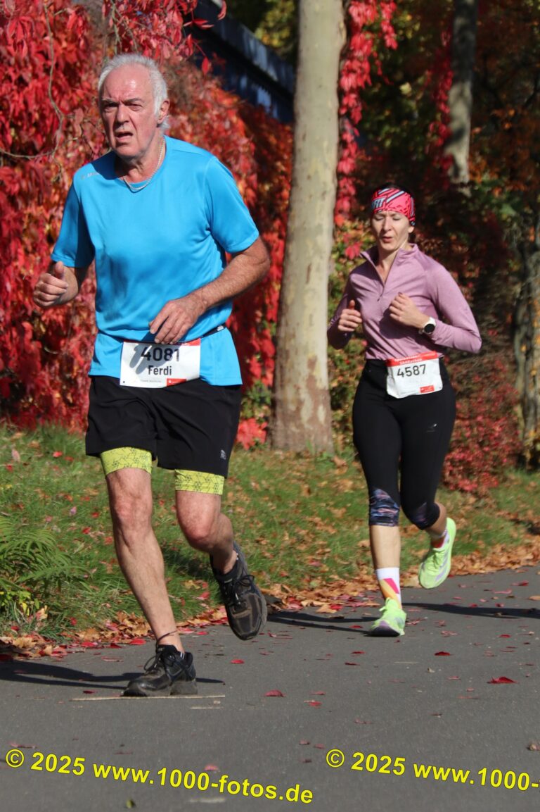 Fotos Hans-Martin Schweitzer (1.000 Fotos) 1811