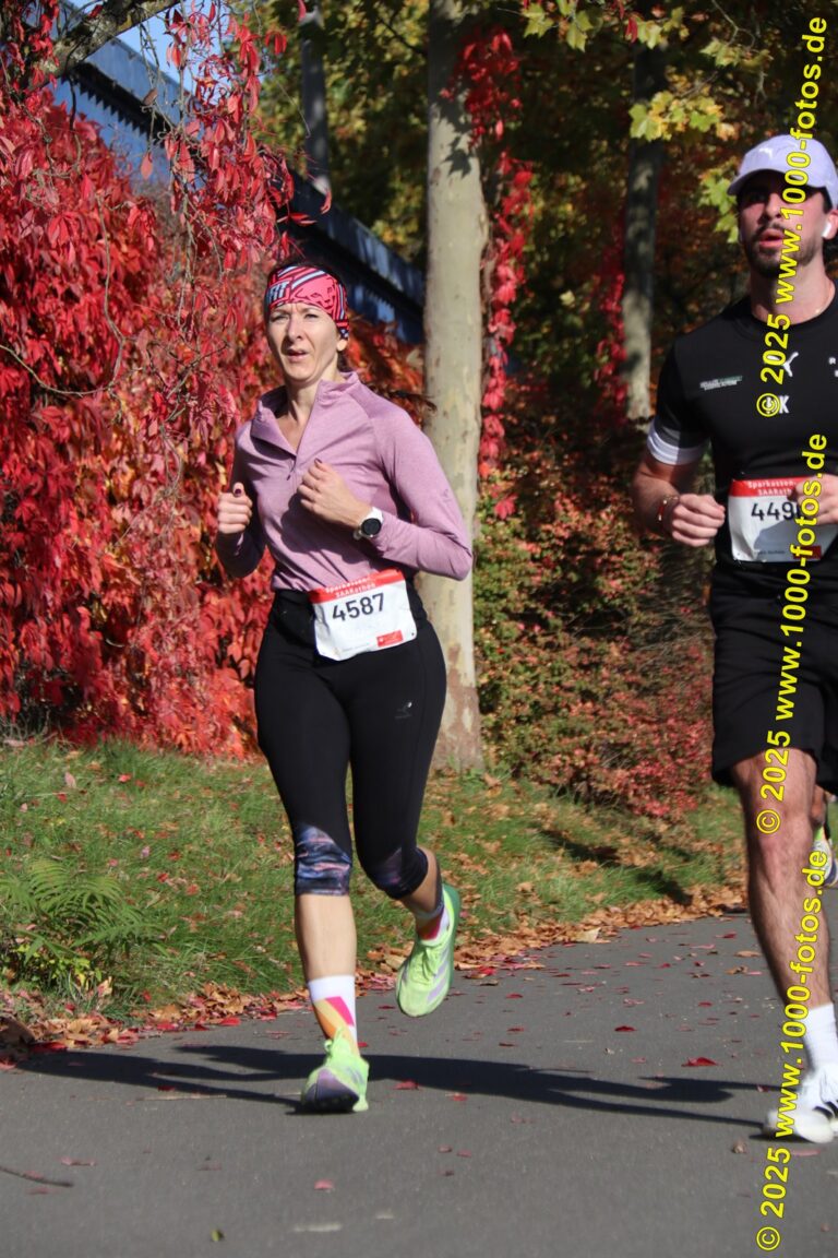 Fotos Hans-Martin Schweitzer (1.000 Fotos) 1809