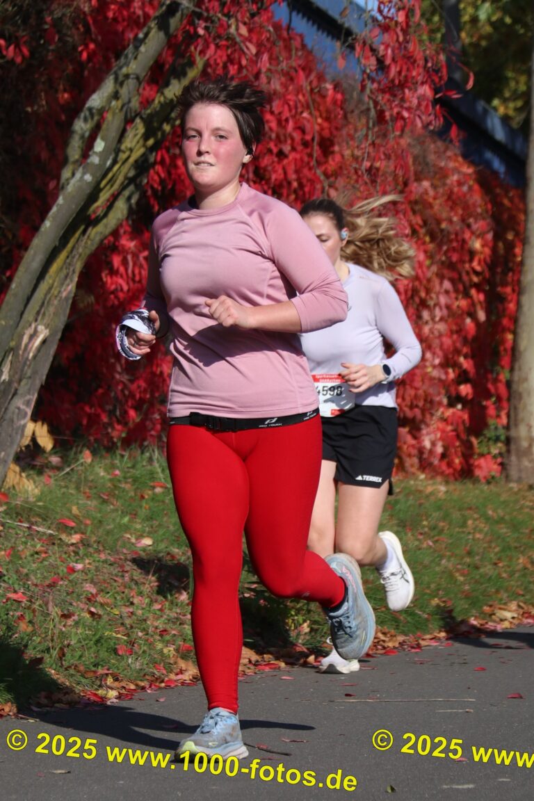 Fotos Hans-Martin Schweitzer (1.000 Fotos) 1801