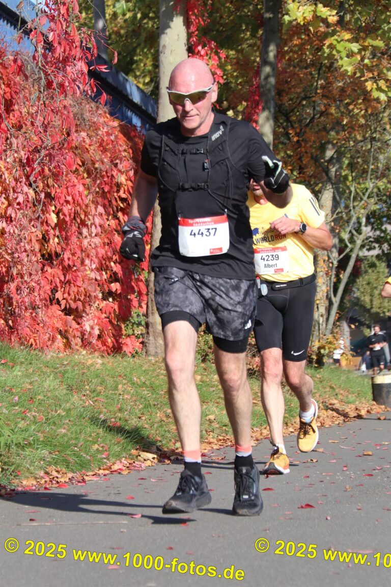 Fotos Hans-Martin Schweitzer (1.000 Fotos) 1799