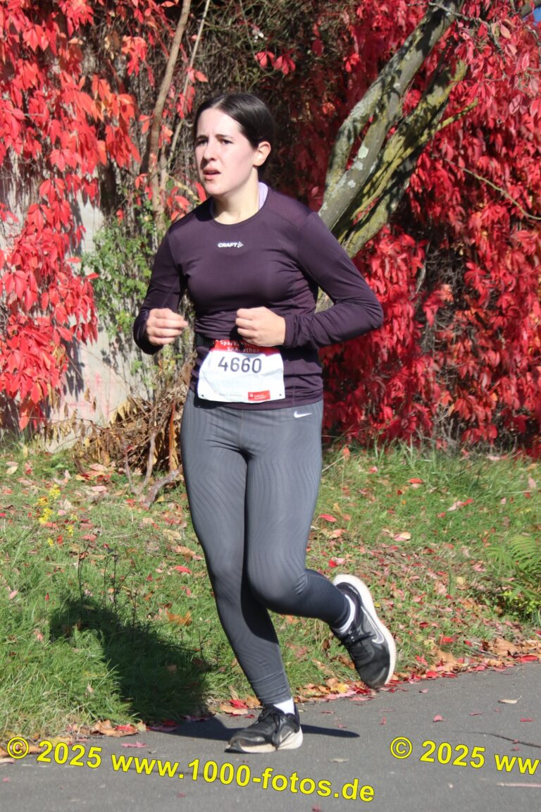 Fotos Hans-Martin Schweitzer (1.000 Fotos) 1788