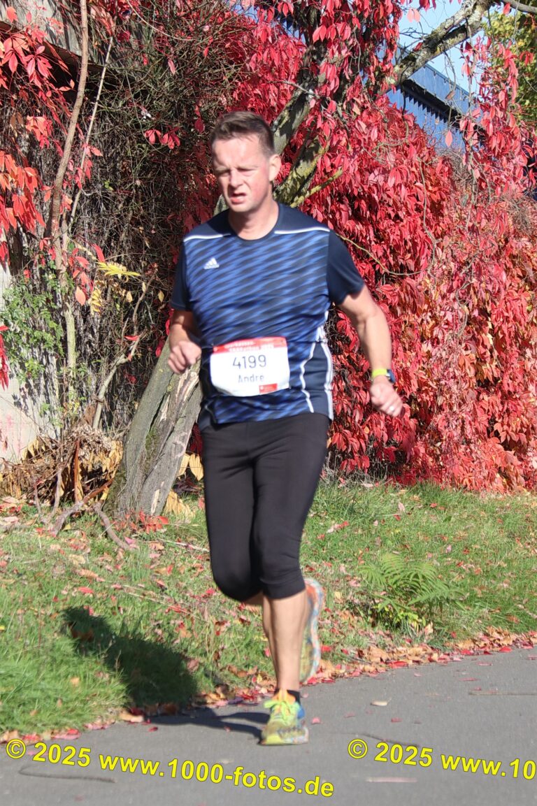 Fotos Hans-Martin Schweitzer (1.000 Fotos) 1787