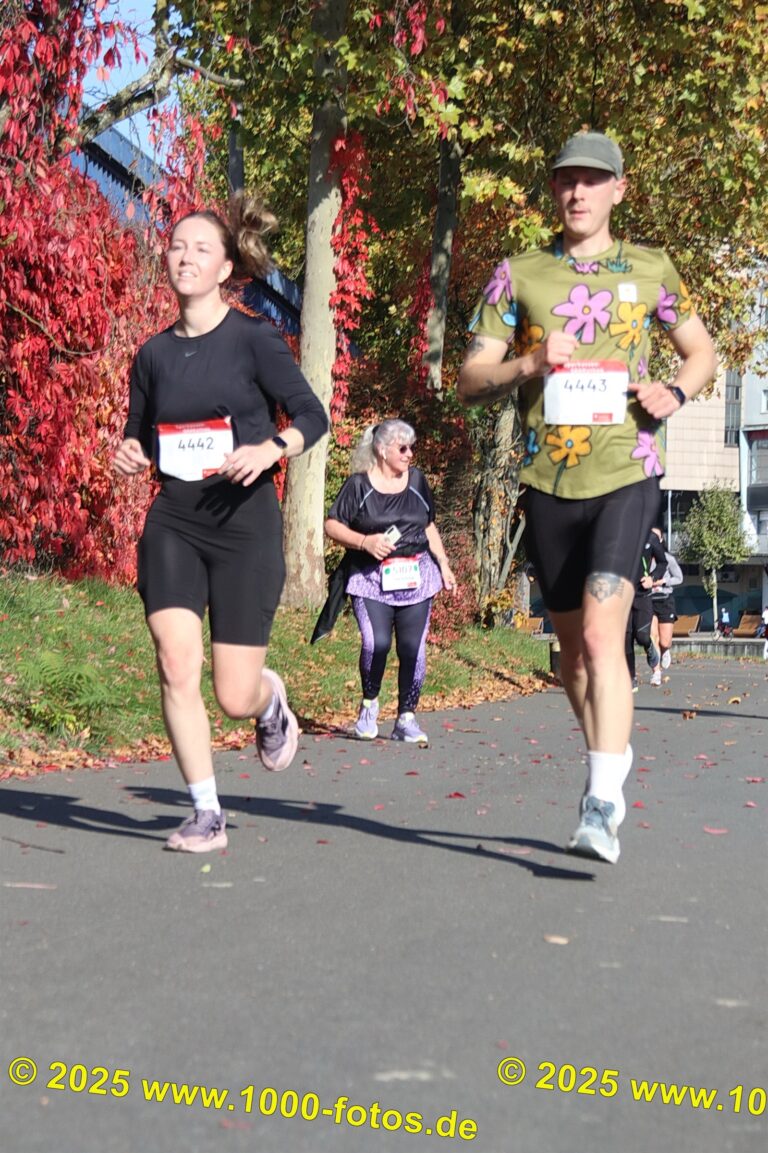 Fotos Hans-Martin Schweitzer (1.000 Fotos) 1786