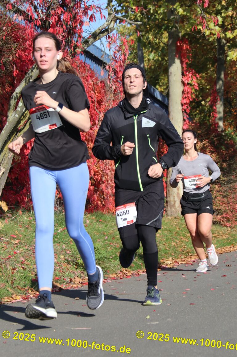 Fotos Hans-Martin Schweitzer (1.000 Fotos) 1784