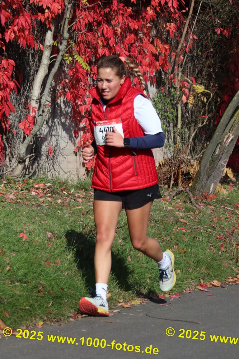 Fotos Hans-Martin Schweitzer (1.000 Fotos) 1783