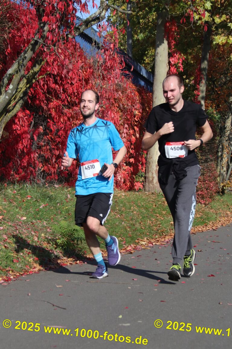 Fotos Hans-Martin Schweitzer (1.000 Fotos) 1781