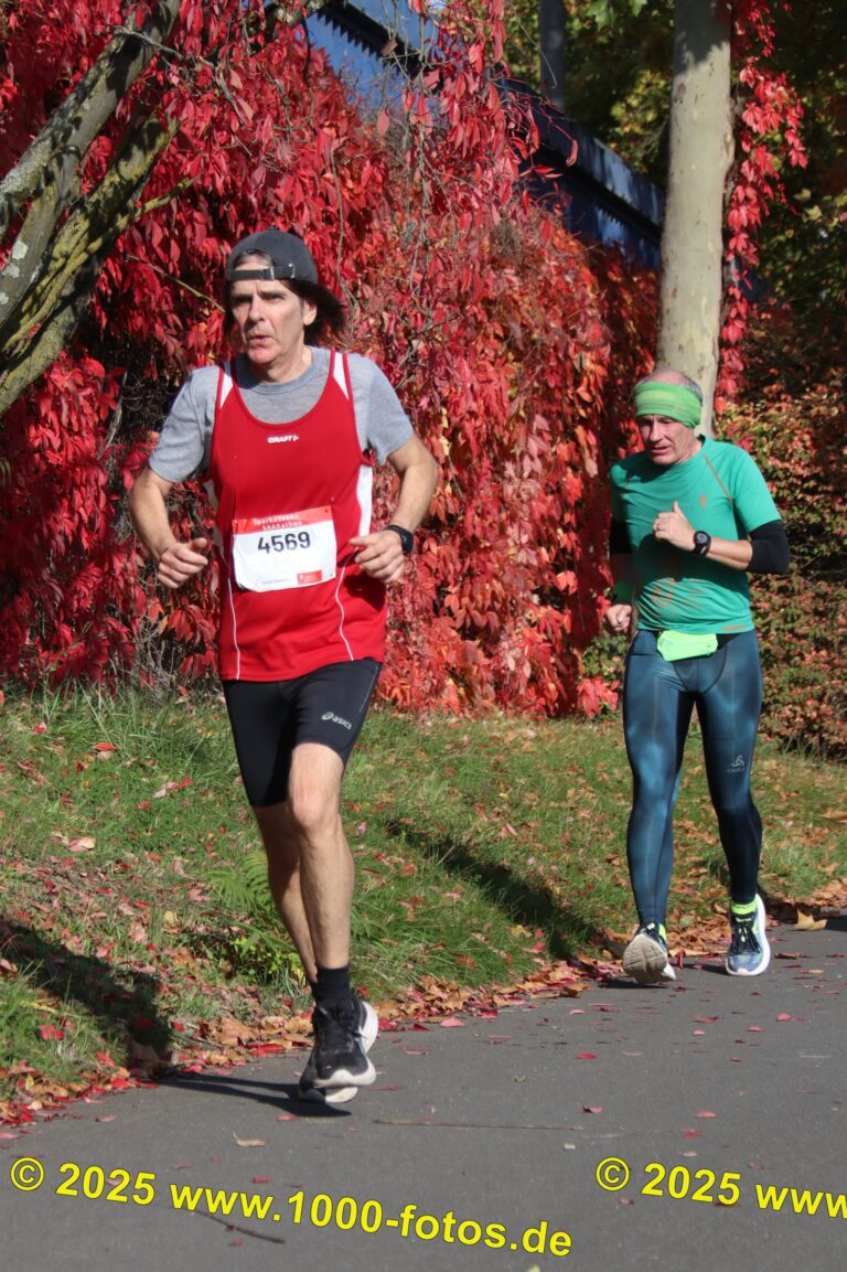 Fotos Hans-Martin Schweitzer (1.000 Fotos) 1779