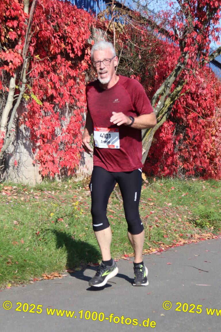 Fotos Hans-Martin Schweitzer (1.000 Fotos) 1771