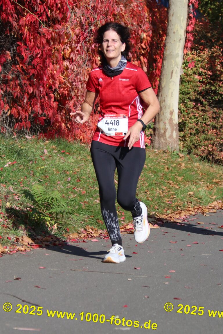 Fotos Hans-Martin Schweitzer (1.000 Fotos) 1769