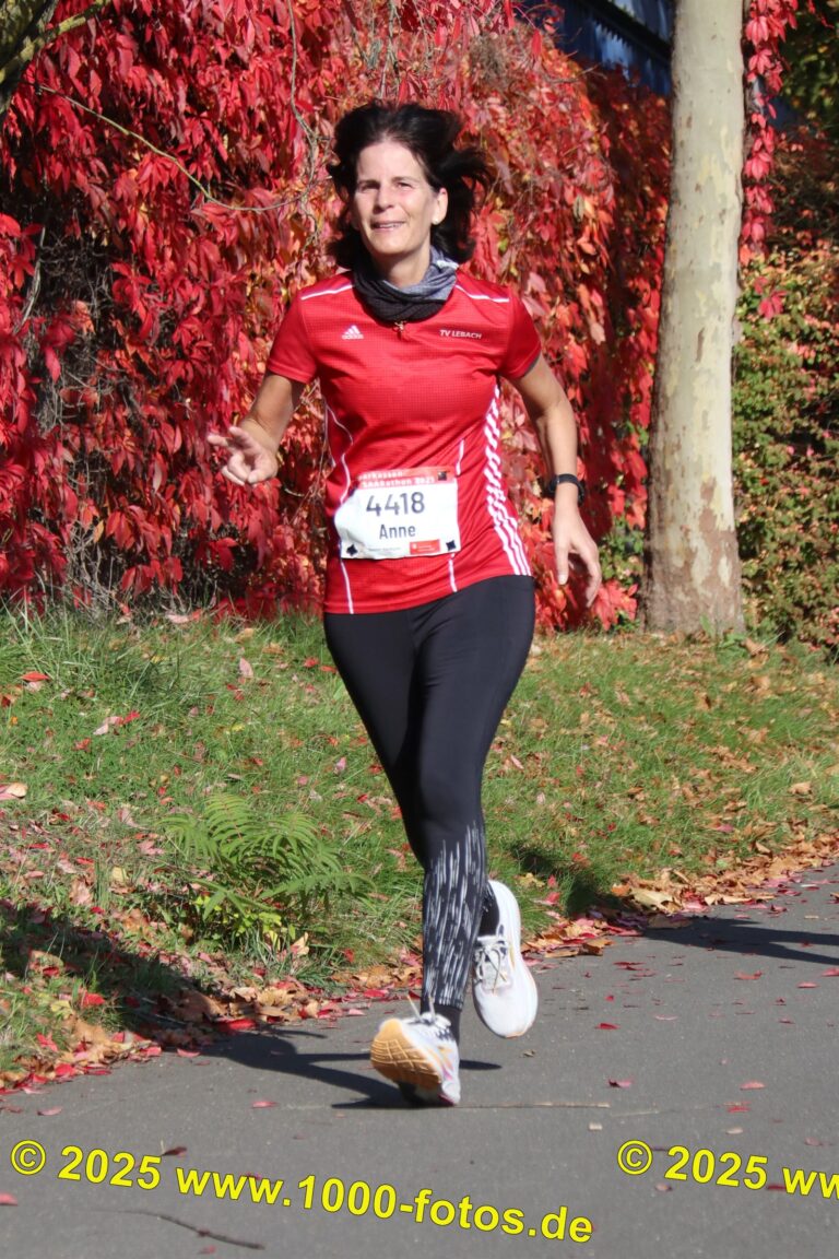 Fotos Hans-Martin Schweitzer (1.000 Fotos) 1768