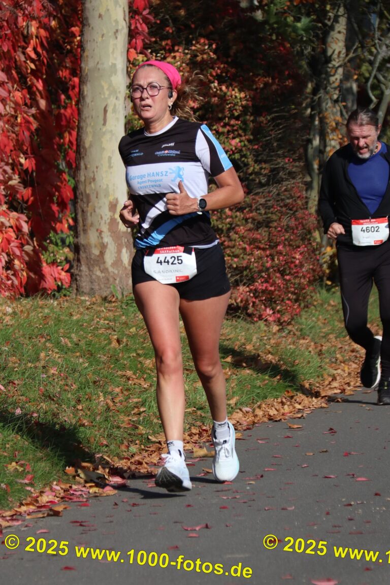 Fotos Hans-Martin Schweitzer (1.000 Fotos) 1763