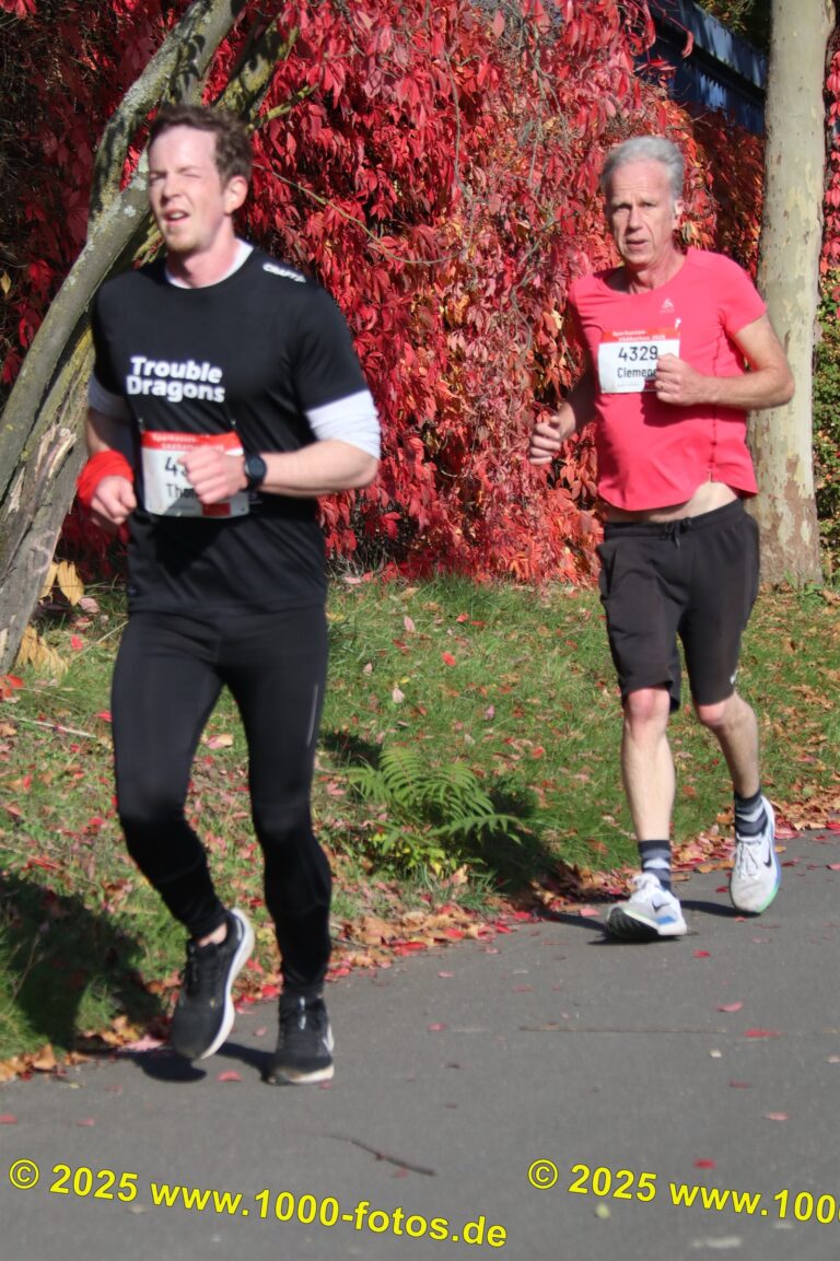 Fotos Hans-Martin Schweitzer (1.000 Fotos) 1754